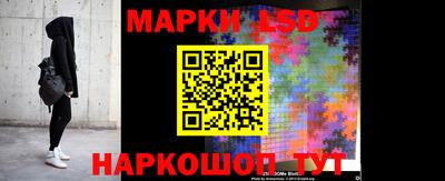 крисы Пенза