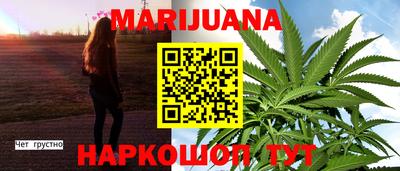 крисы Пенза
