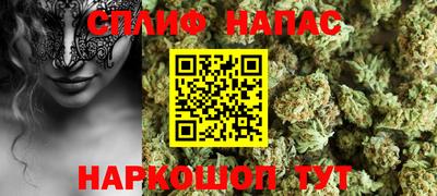 крисы Пенза