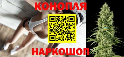 крисы Пенза