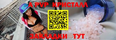крисы Пенза